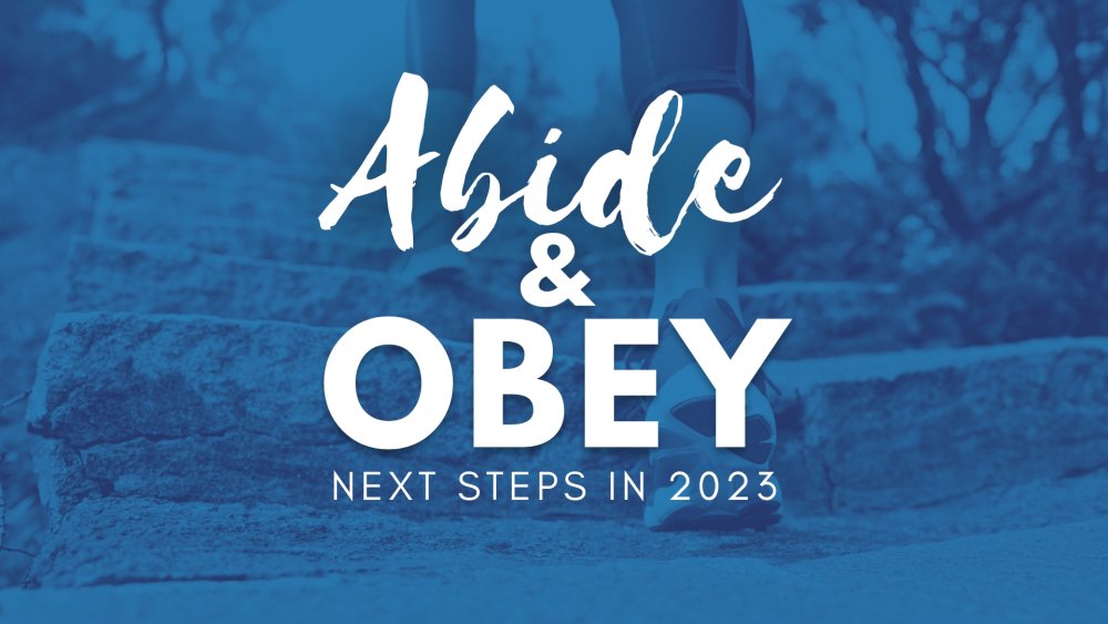Abide & Obey
